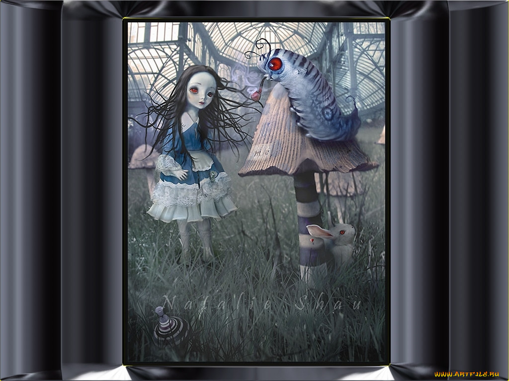 , , , 